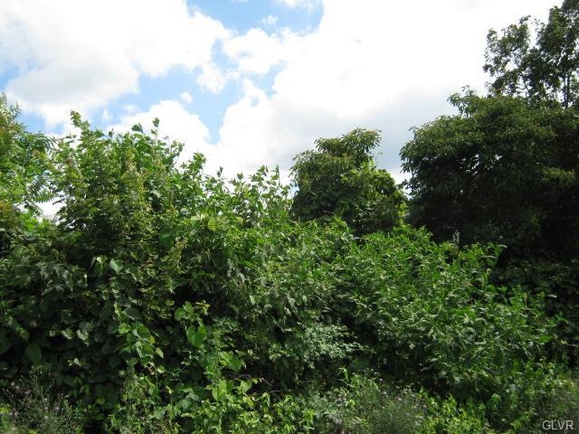 0 Summer Mountain Rd unit 455387, New Ringgold, PA 17960 - photo 1