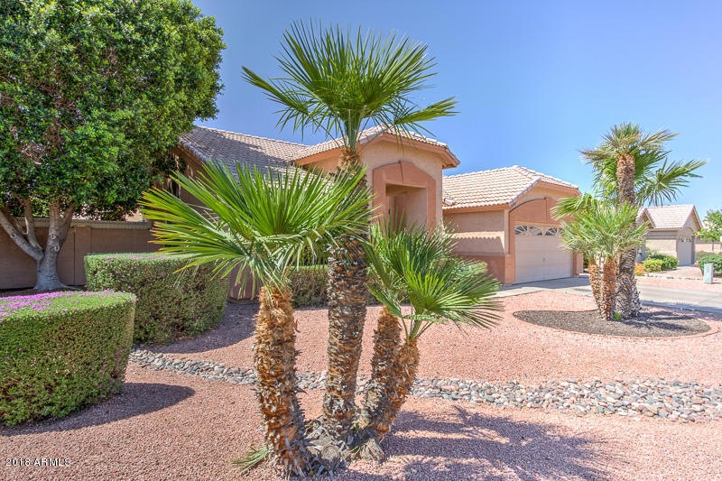 1645 E Golden Ln, Chandler, AZ 85225 - photo 1