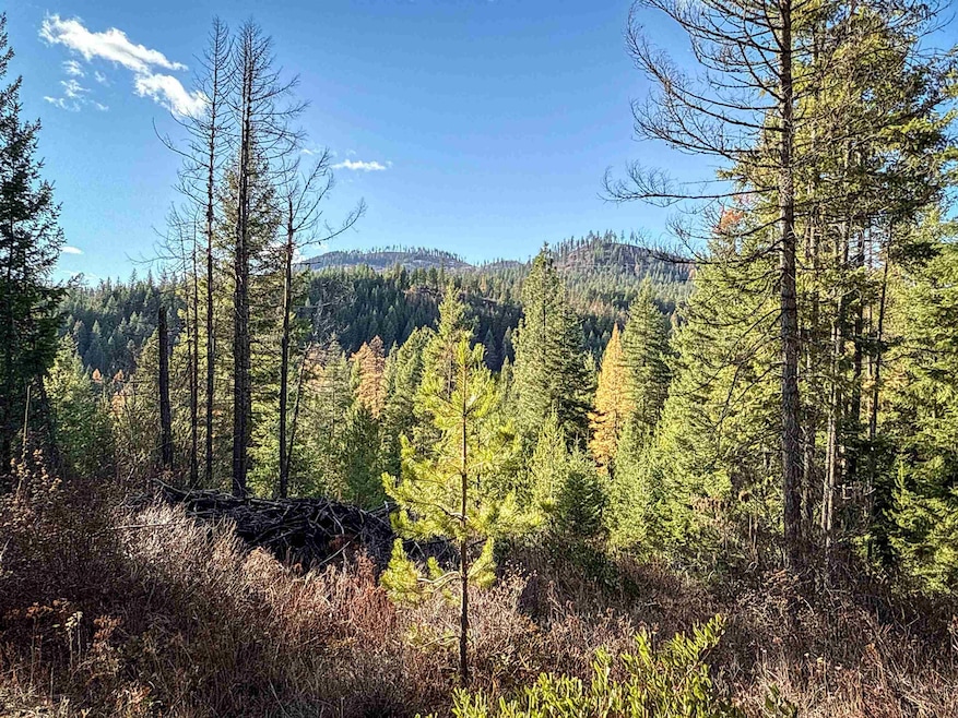 TBD Olinger (Hammer) Rd, Springdale, WA 99173 - photo 1