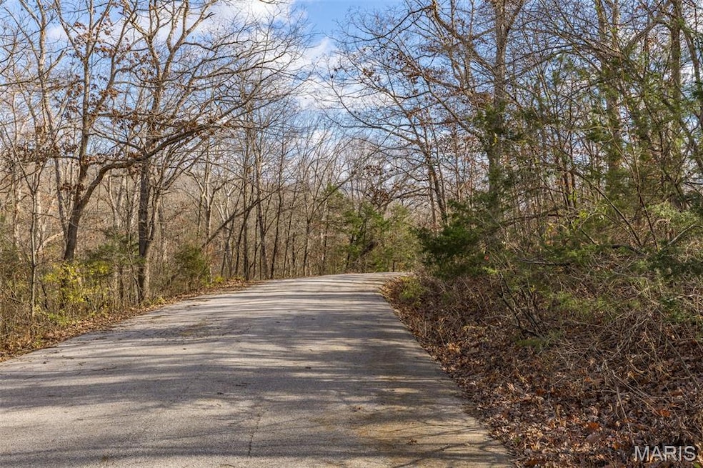 6110 Shenandoah Dr, Raintree Plantation, MO 63050 - photo 1