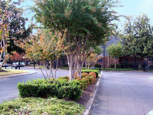 Main gated entrance.