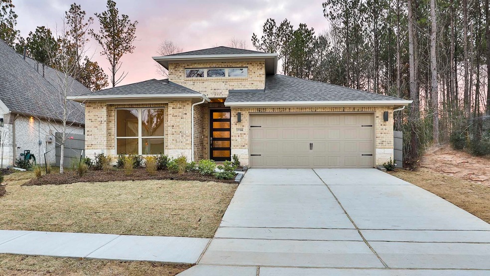 17184 Wild Robin Ln, Conroe, TX 77302 - photo 1