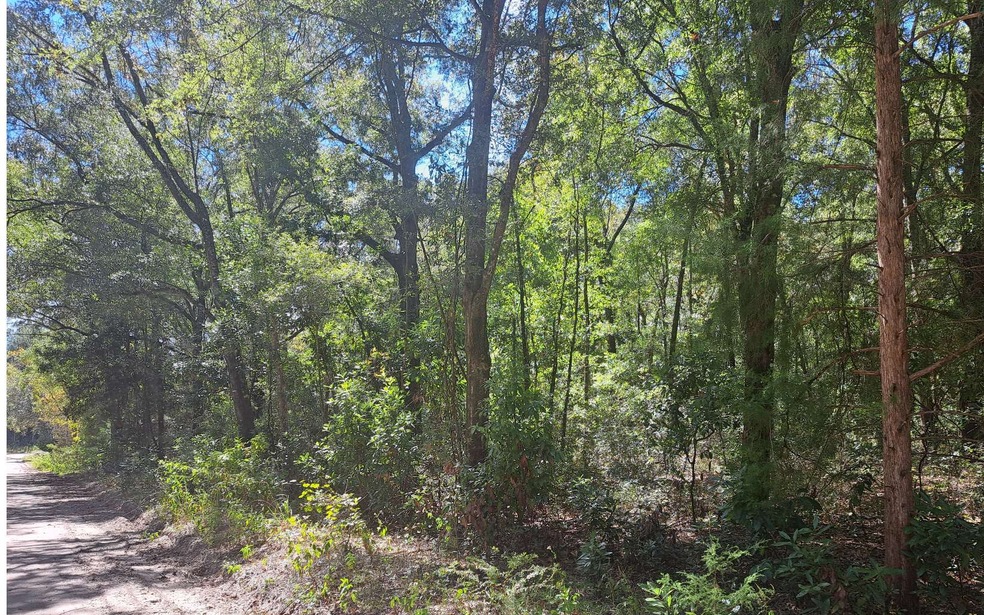 TBD 39th Ln, Branford, FL 32008 - photo 1