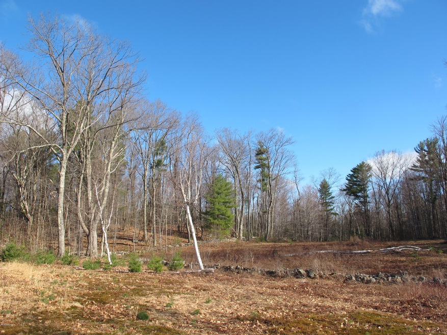 715 Main Road - Lot 3