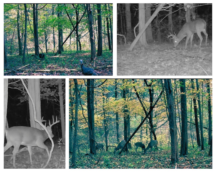 20.3 Lawrenceville Rd, Williamstown, KY 41097 - photo 1