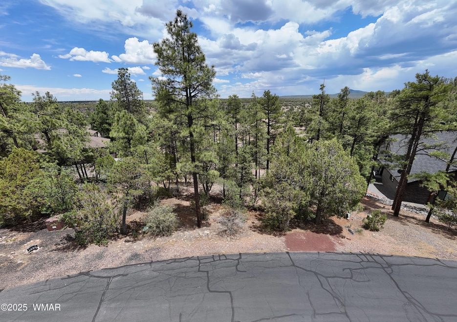 DJI_20250609124513_0459_D