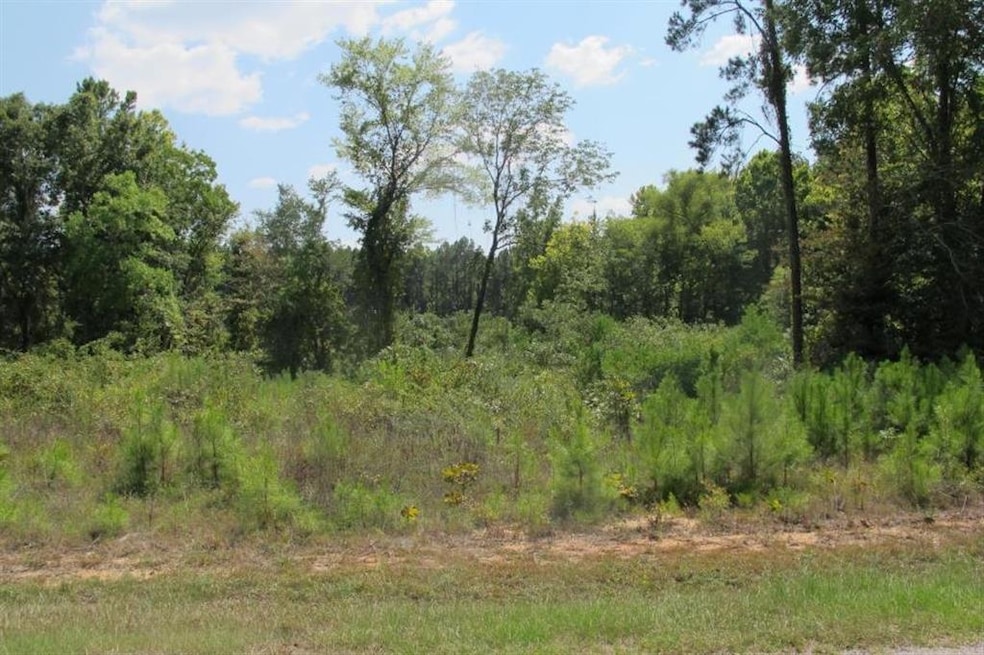 TBD Section Line Rd, Leesville, LA 71446 - photo 1