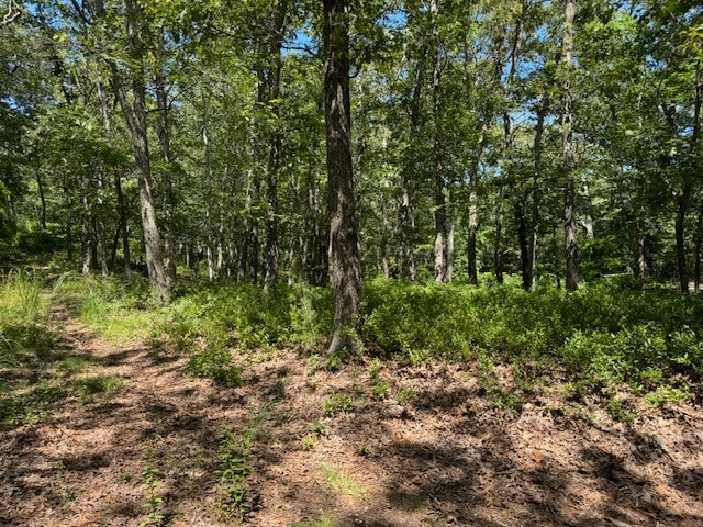 02 John Hoft Rd unit 2, Tisbury, MA 02568 - photo 1