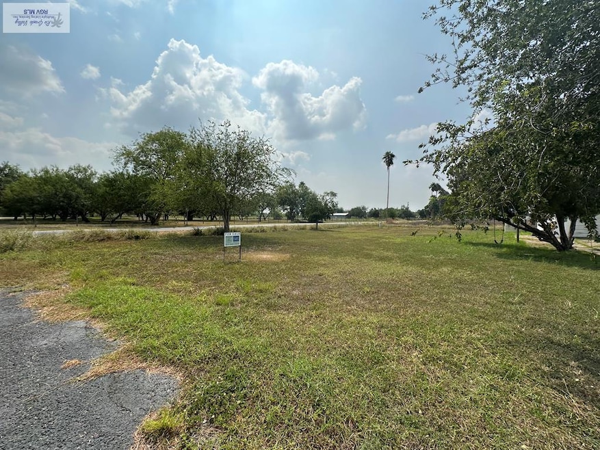 2002 S Tamm Ln unit 19, Harlingen, TX 78552 - photo 1