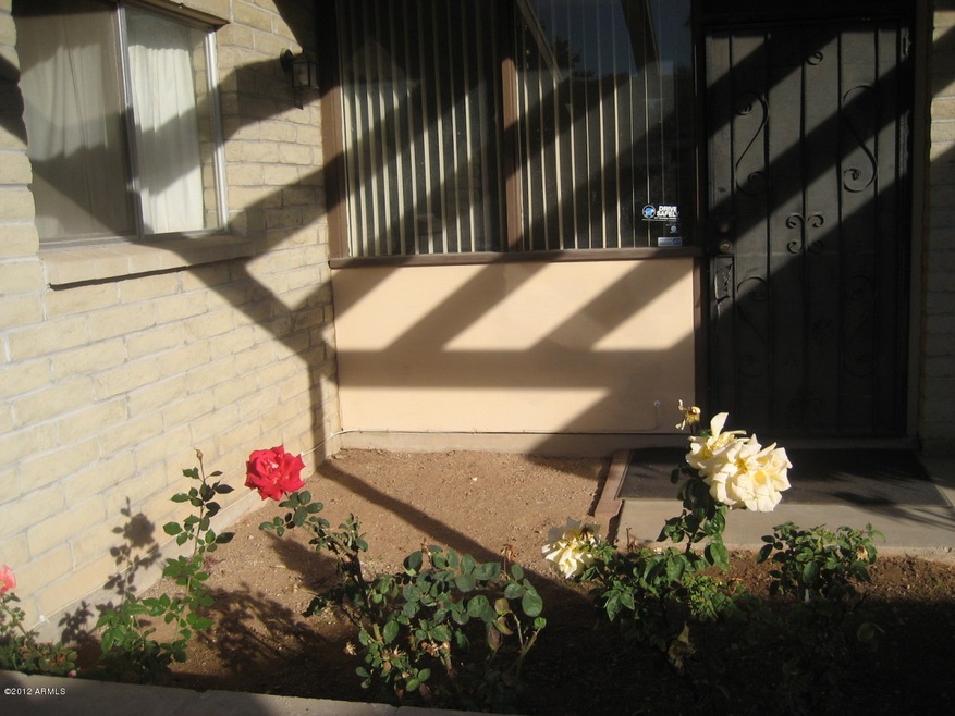 Front Patio
