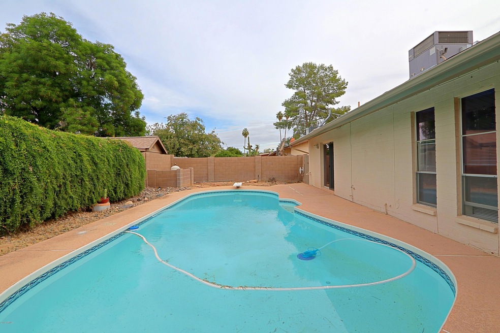 Backyard 3