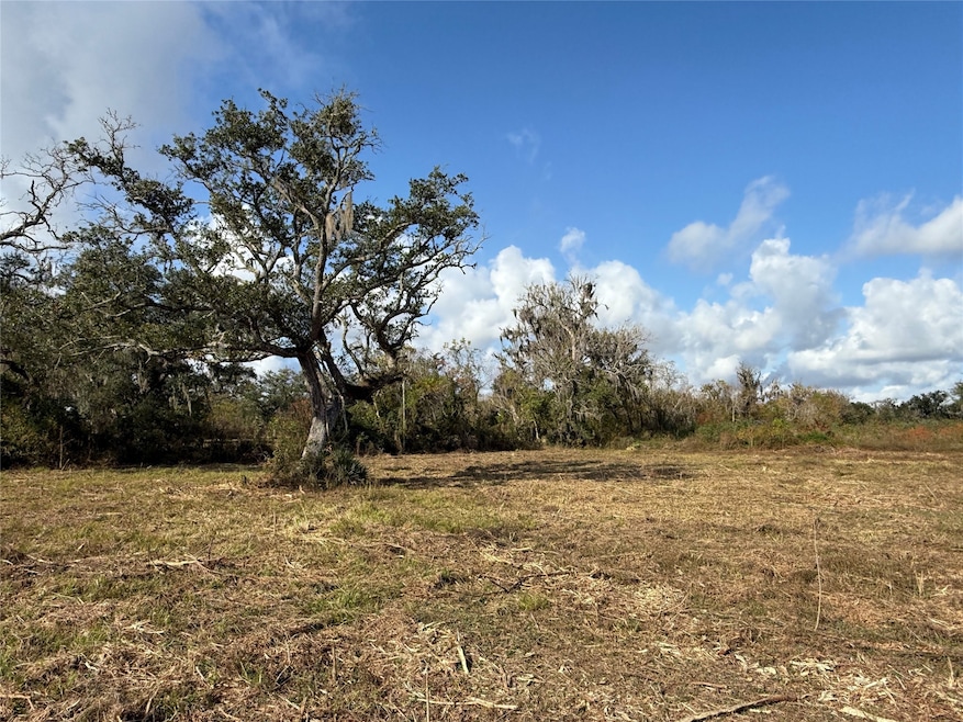 1 County Road 700, Brazoria, TX 77422 - photo 1