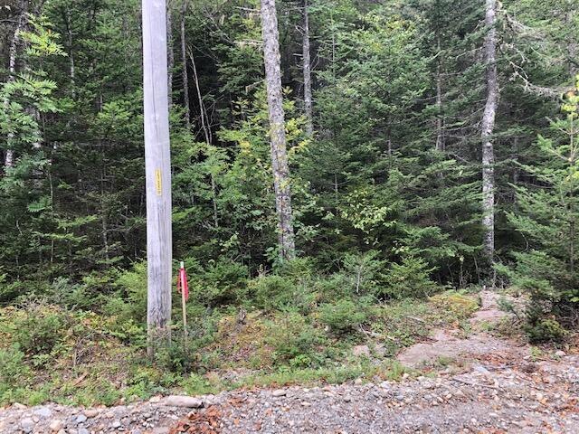 Lot 12 B Duck Cove Rd, Roque Bluffs, ME 04654 - photo 1