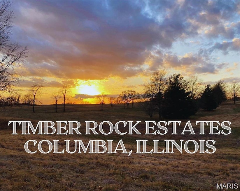 0 Timber Rock Lot 5 unit MIS25078406, Columbia, IL 62236 - photo 1
