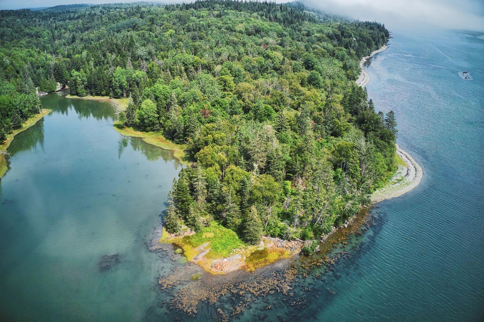 1 Aerial showing most of the lot