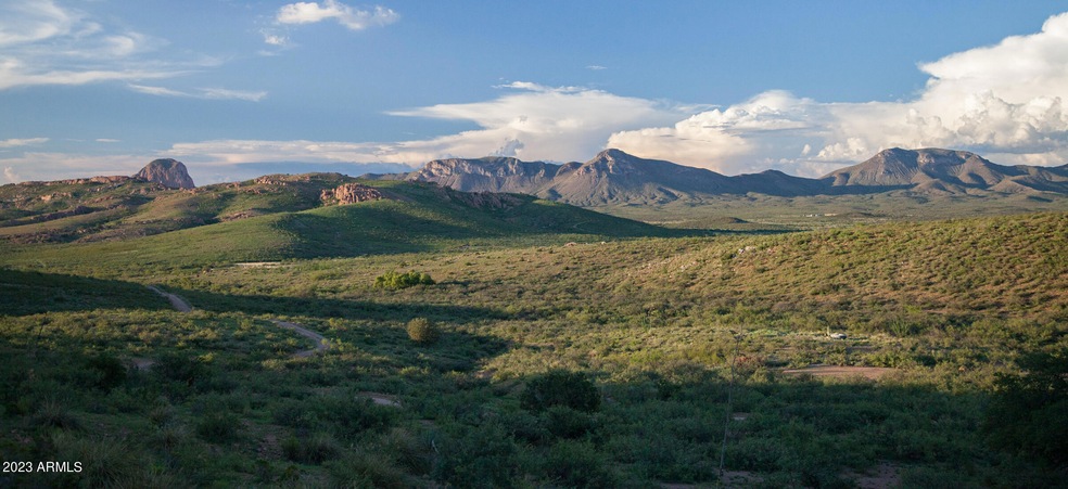 Lot 40 N Hidden Oaks Trail 38 7 Acres -- unit 40, Douglas, AZ 85607 - photo 1