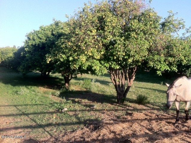 lot1
