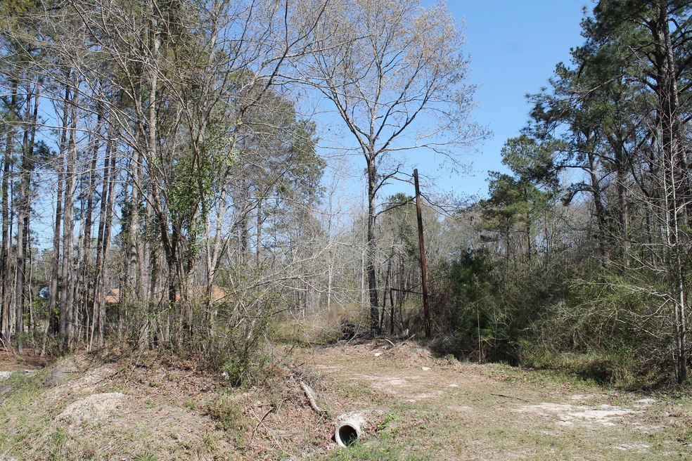 367 Hopkins Dr, Moncks Corner, SC 29461 - photo 1