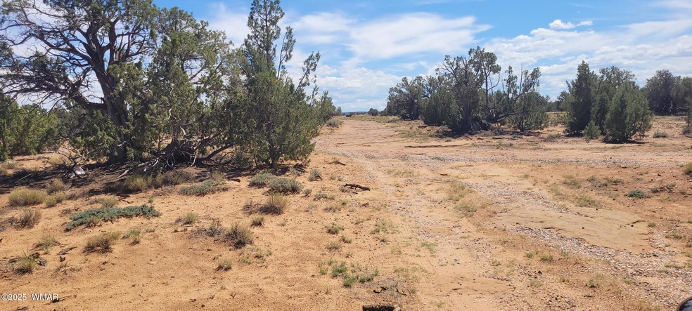 0 unit 257823, Concho, AZ 85924 - photo 1