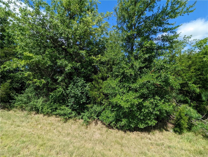 TBD Suzanne Dr, Moody, TX 76557 - photo 1