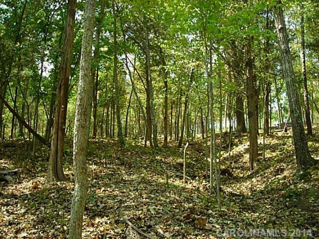 Land - Wooded homesite, ready for you to build.