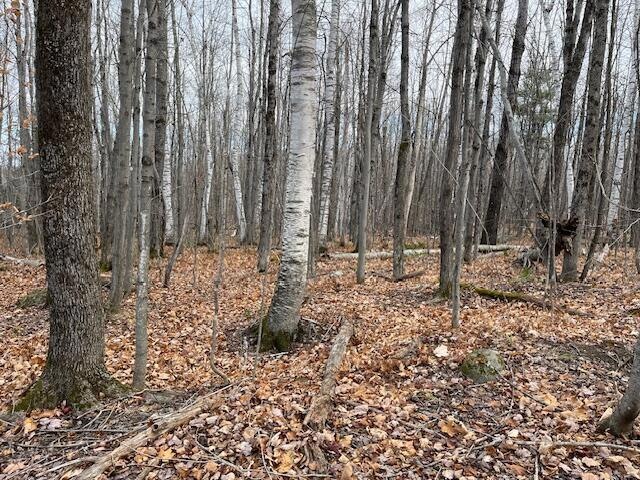 IMG_3679 (2)