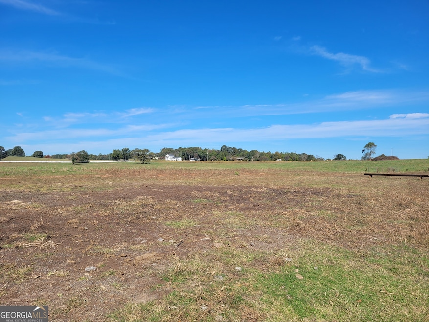 0 Sandy Cross Rd unit 10654075, Carnesville, GA 30521 - photo 1