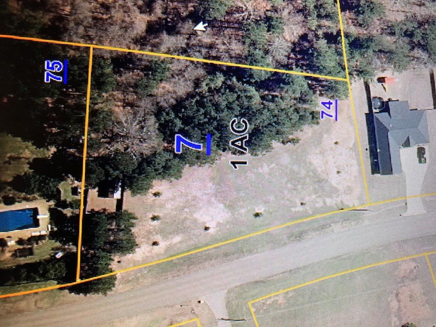 148 Lakes Dr S, Oxford, MS 38655 - photo 1