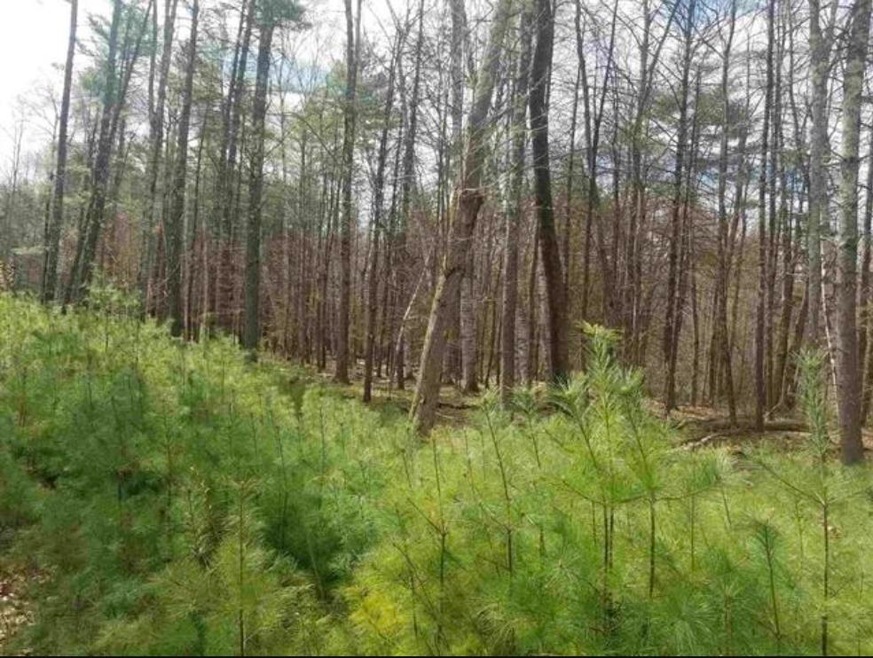 21B Lovejoy Sands Rd, Meredith, NH 03253 - photo 1