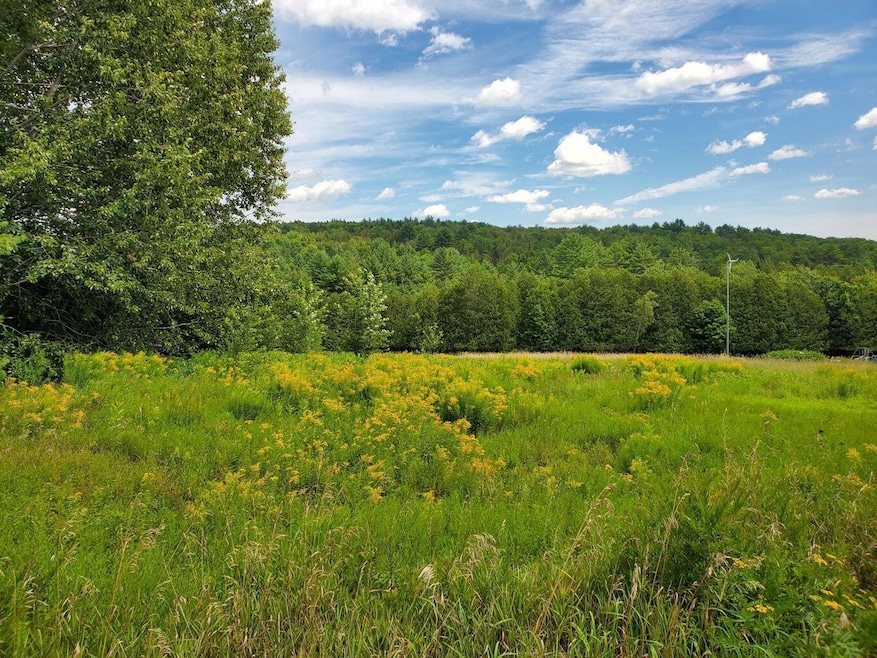 Open field