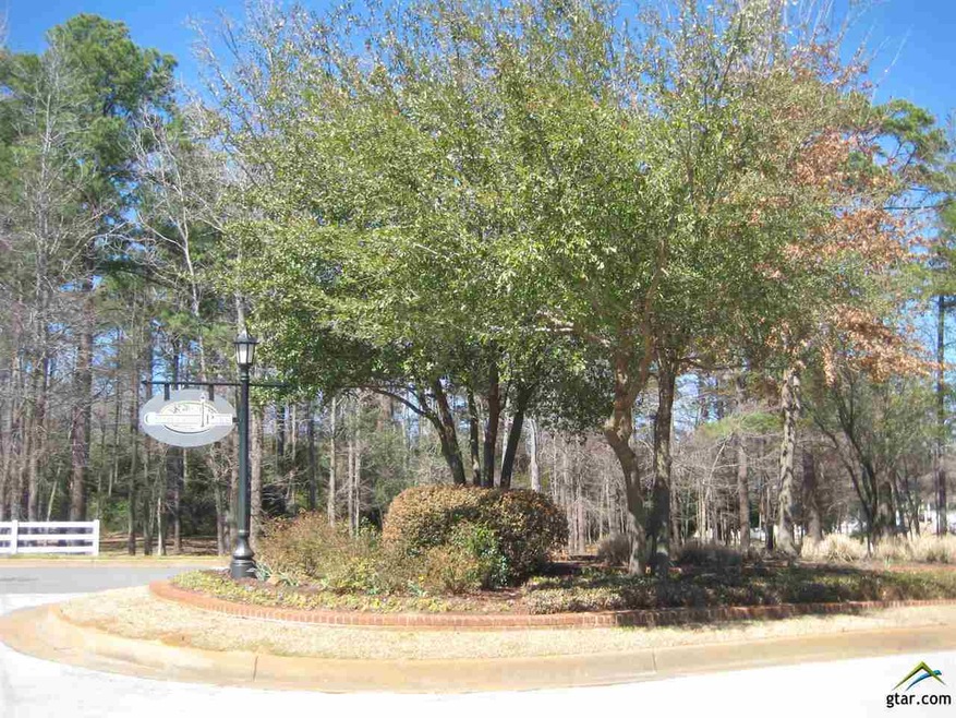 3984 Spartanburg, Tyler, TX 75701 - photo 1