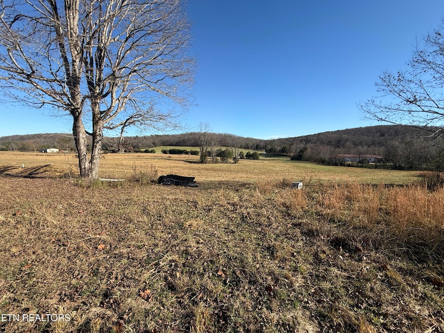 17657 N Nopone Valley Rd, Decatur, TN 37322 - photo 1