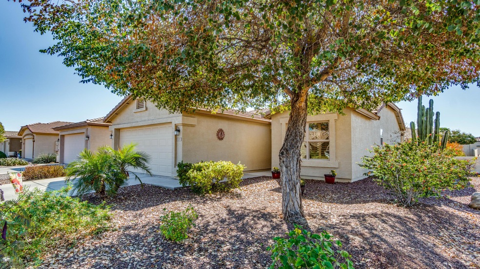 3789 E Hazeltine Way-1