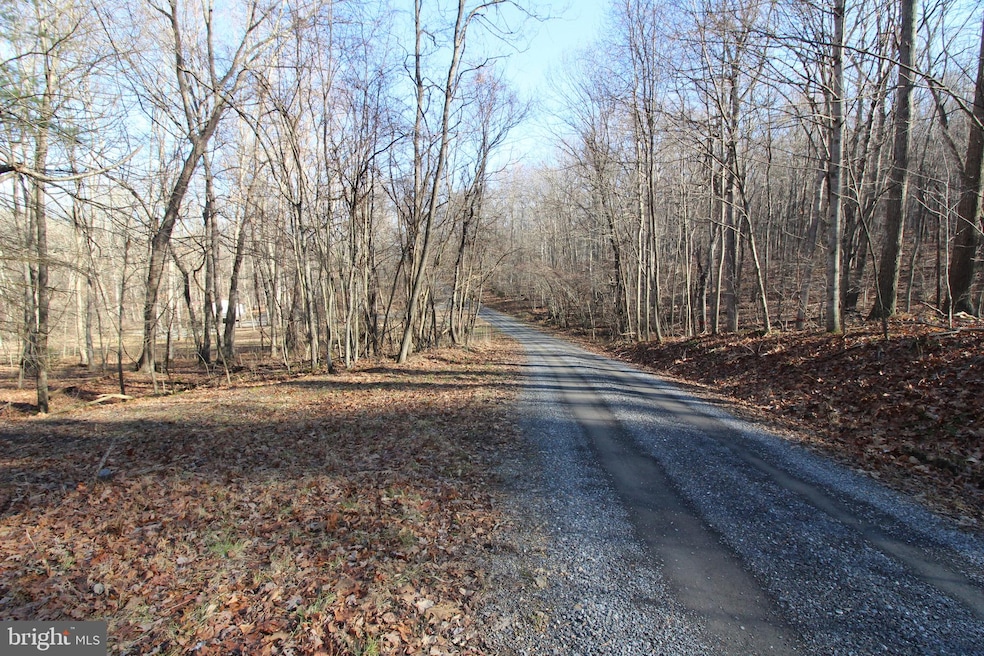 Lot C-54 Trout Stream Rd, Lost River, WV 26810 - photo 1