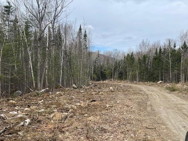 Lot 117 Big Snow Way 10.44 private wooded acres at end of private association road.
