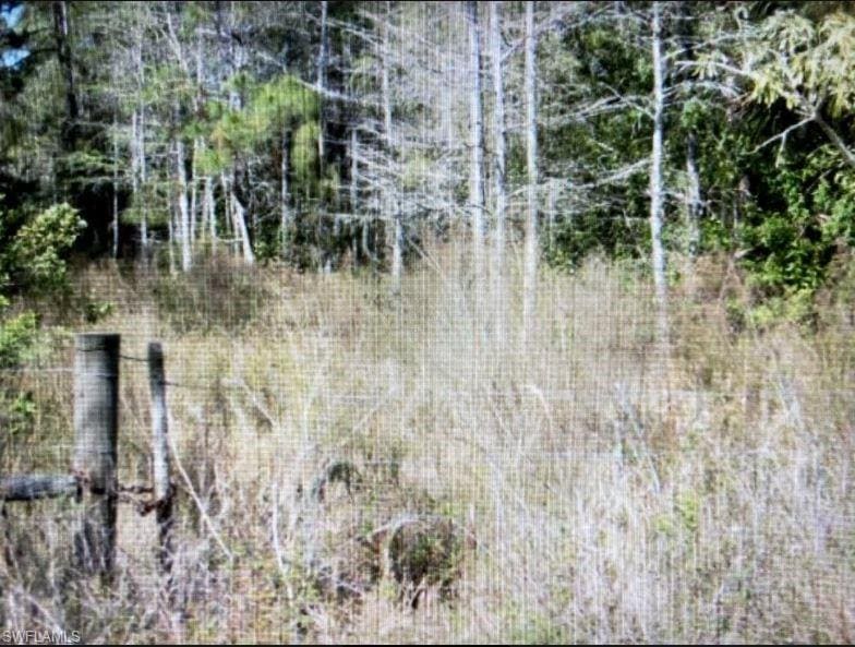 20340 Lazy D Farm Rd, Estero, FL 33928 - photo 1