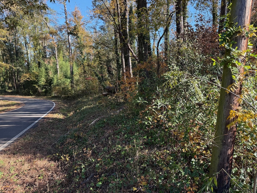 0 Apache Dr unit RTC3043137, Jackson, GA 30233 - photo 1