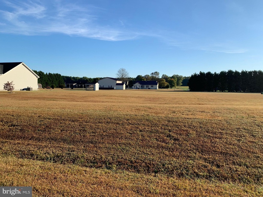 26174 Manor Way, Georgetown, DE 19947 - photo 1