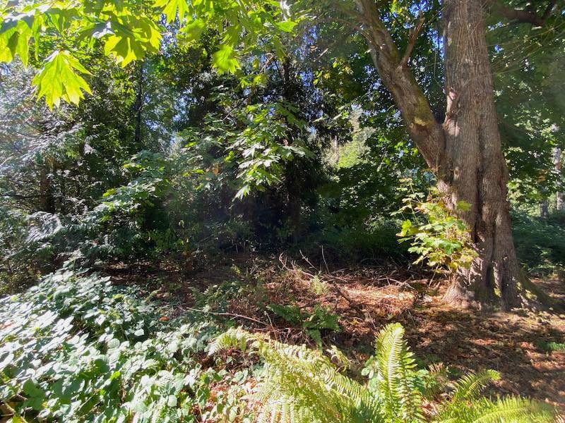 157 Park Dr, Point Roberts, WA 98281 - photo 1