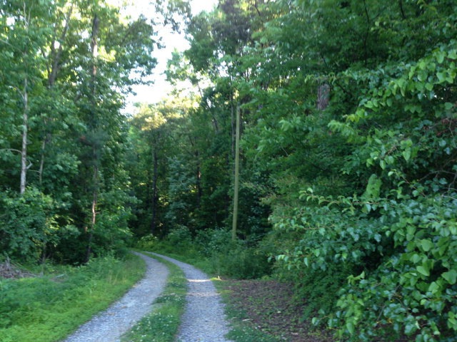Main View