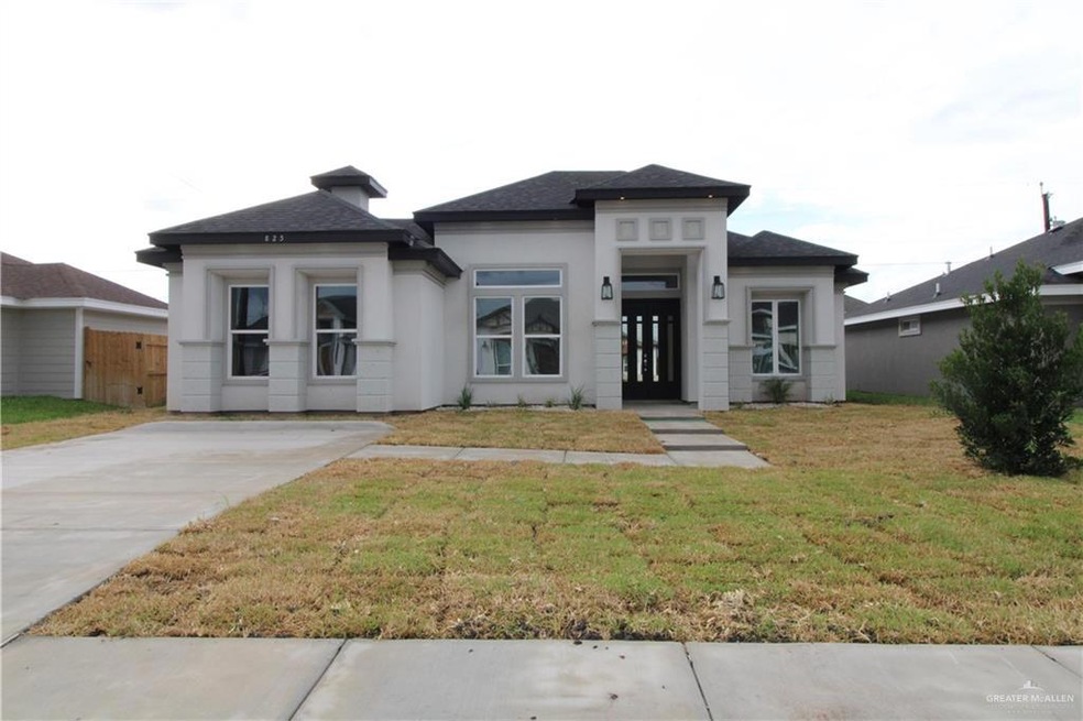 825 Whitewing St, Alamo, TX 78516 - photo 1