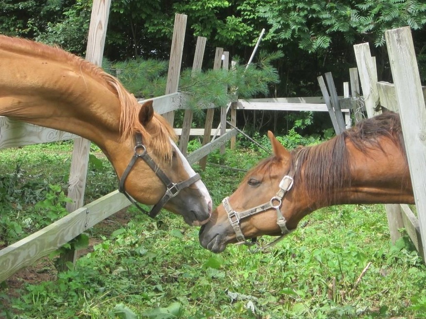 43 Brighton Hill Rd, Hebron, ME 04238 - photo 1