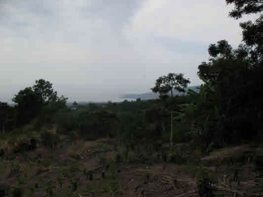 coastline, sunset and historic Kealakekua Bay views