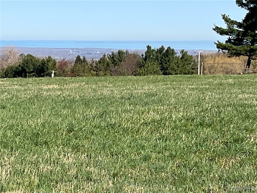 WOW- 15 acre homesite in the Orchard Park School S
