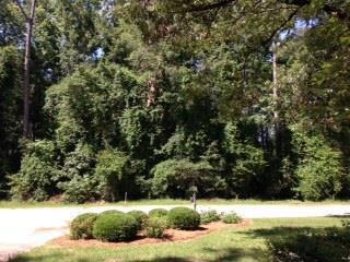 2851 Loretto Dr, Sumter, SC 29150 - photo 1