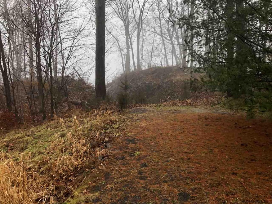 28 Greenwood Rd N, Athens, NY 12015 - photo 1