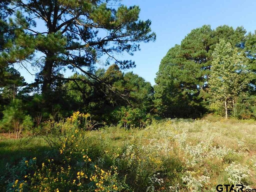 2836 Roy Rd, Tyler, TX 75791 - photo 1