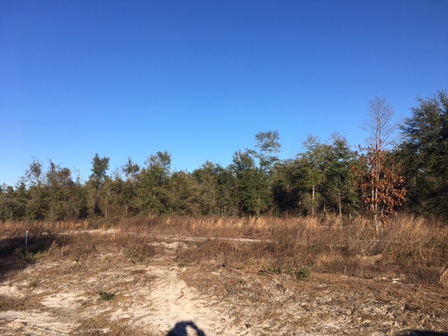0 Scenic Stream Cir unit 288744, Crawfordville, FL 32327 - photo 1
