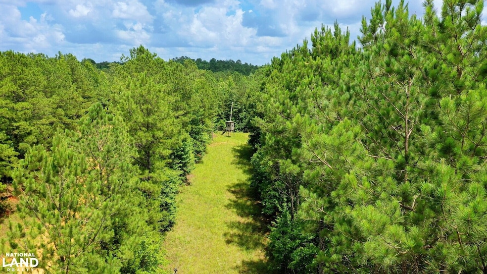 0 Attala Rd 3217 New Salem Rd, Kosciusko, MS 39090 - photo 1