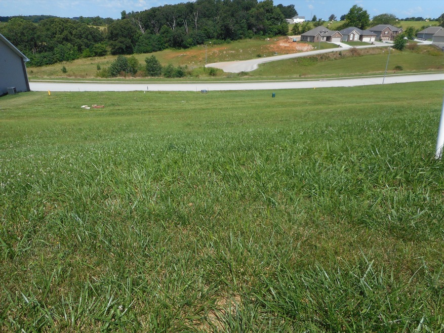 Lot 130 S Cobble Creek Blvd, Nixa, MO 65714 - photo 1